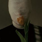 Купить семена конопли в интернет магазине с доставкой почтой по России и Украине unsplash_244.jpg